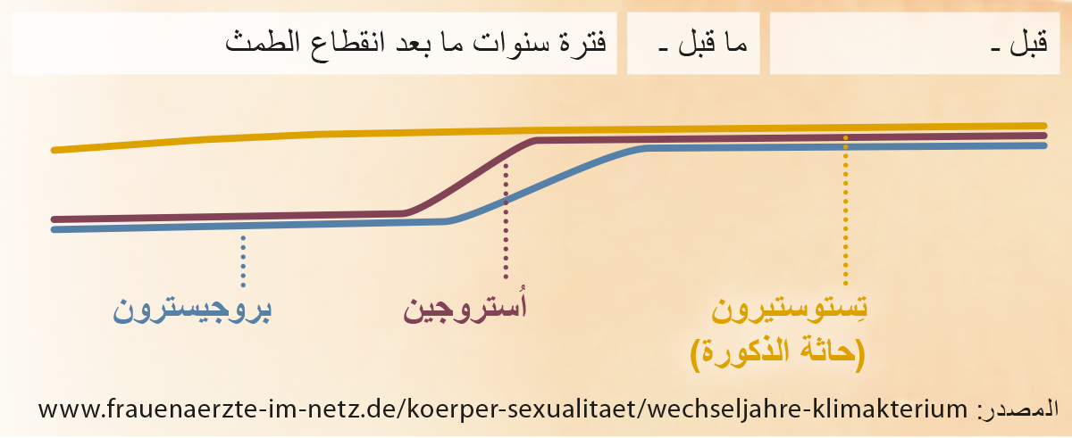 Grafik: Hormonelle Veränderungen in der Prä-, Peri- und Postmenopause