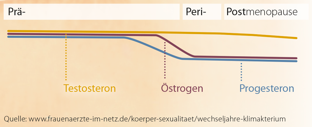 Grafik: Hormonelle Veränderungen in der Prä-, Peri- und Postmenopause
