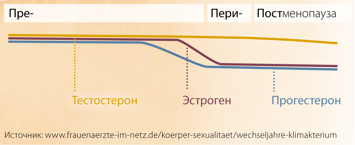 Grafik Hormone RU