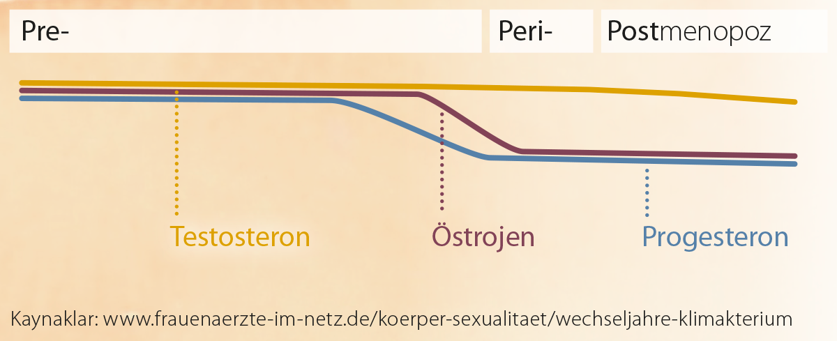 Pre-, peri- ve postmenopoz dönemlerinde hormonal degisiklikler